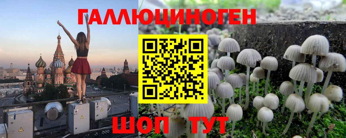 Воронеж  Галлюциногенные грибы Magic Shrooms  Вход с VPN 